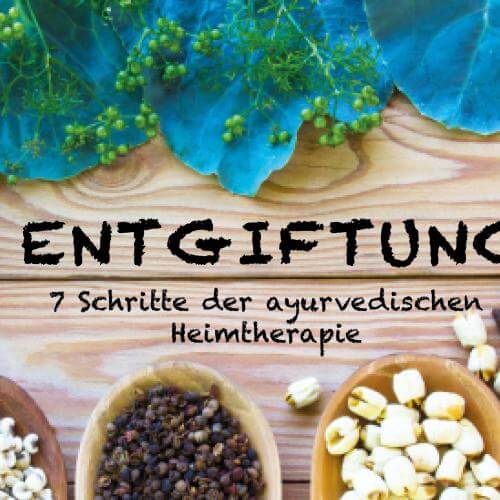 7 Schritte der Entgiftung der ayurvedischen Heimtherapie "Shamana"