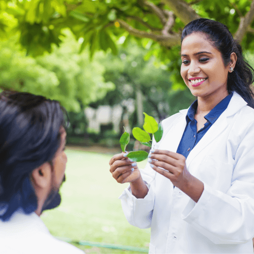 Therapeutische Methoden der ayurvedischen Medizin